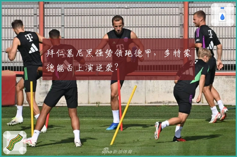 拜仁慕尼黑强势领跑德甲，多特蒙德能否上演逆袭？